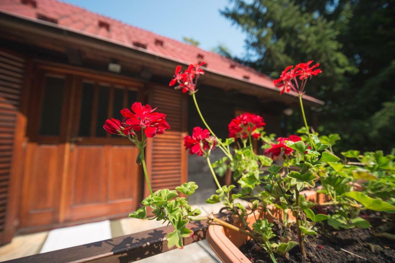 Cabin In The Woods Vukelic Stubicke Toplice المظهر الخارجي الصورة